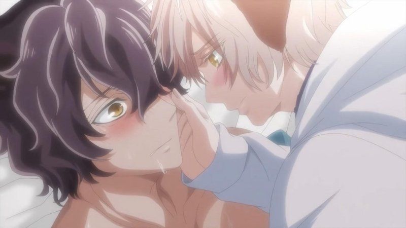 森のくまさん、冬眠中。【第01话】 [中文字幕]