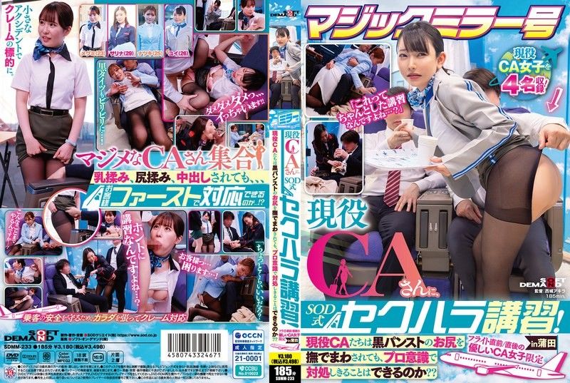 マジックミラー号 现役CAさんに、SOD式セクハラ讲习！现役CAたちは黒パンストのお尻を抚でまわされても、プロ意识で対処しきることはできるのか？？フライト直前/直后の优しいCA女子限定in蒲田