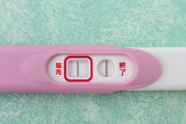 【不灭・后宫3P】S级美人姊妹在育场进行奉仕活动